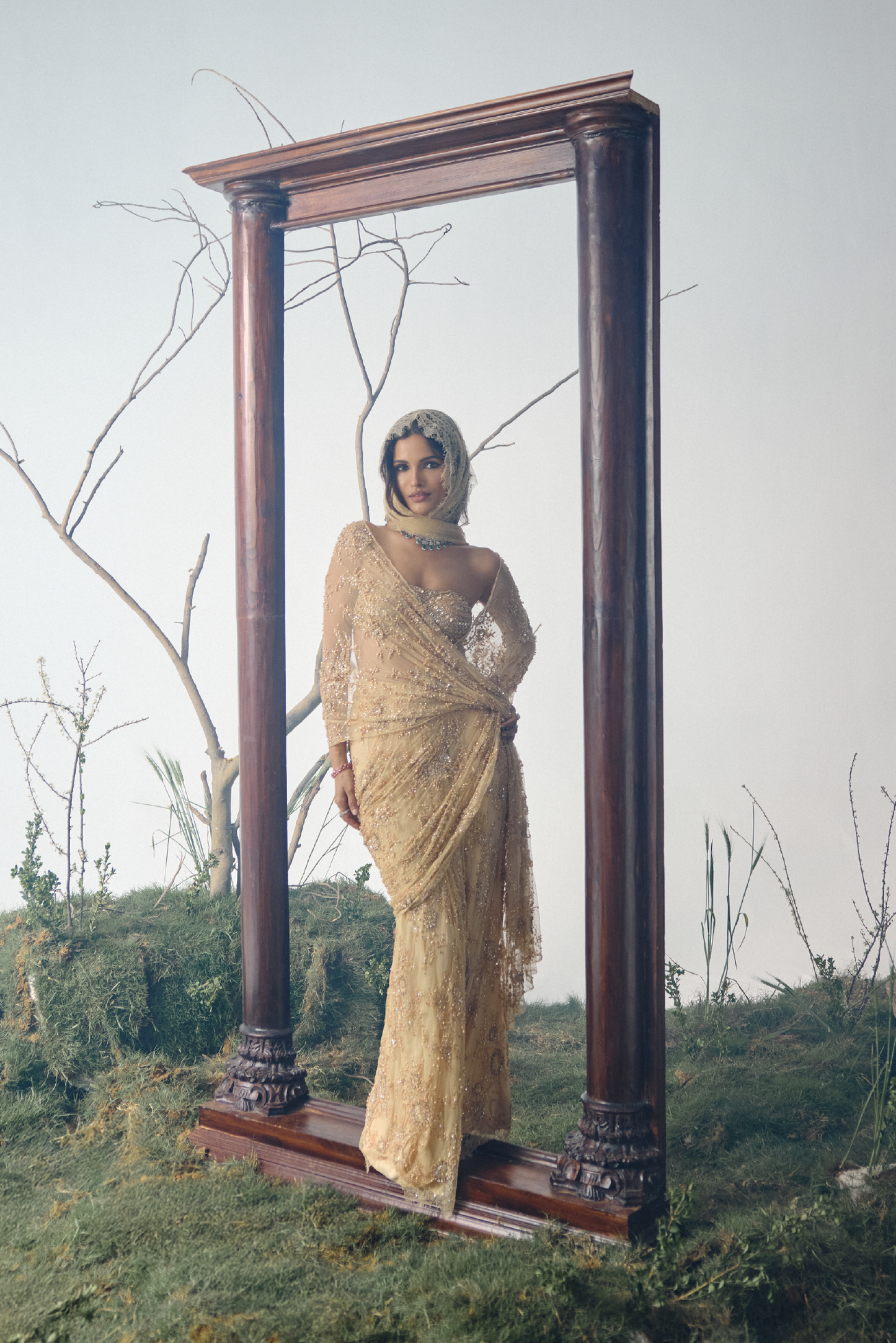 Gold Stone Embellished Lace Sari Set