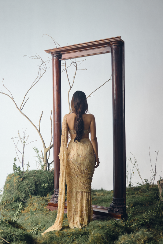 Gold Stone Embellished Lace Sari Set