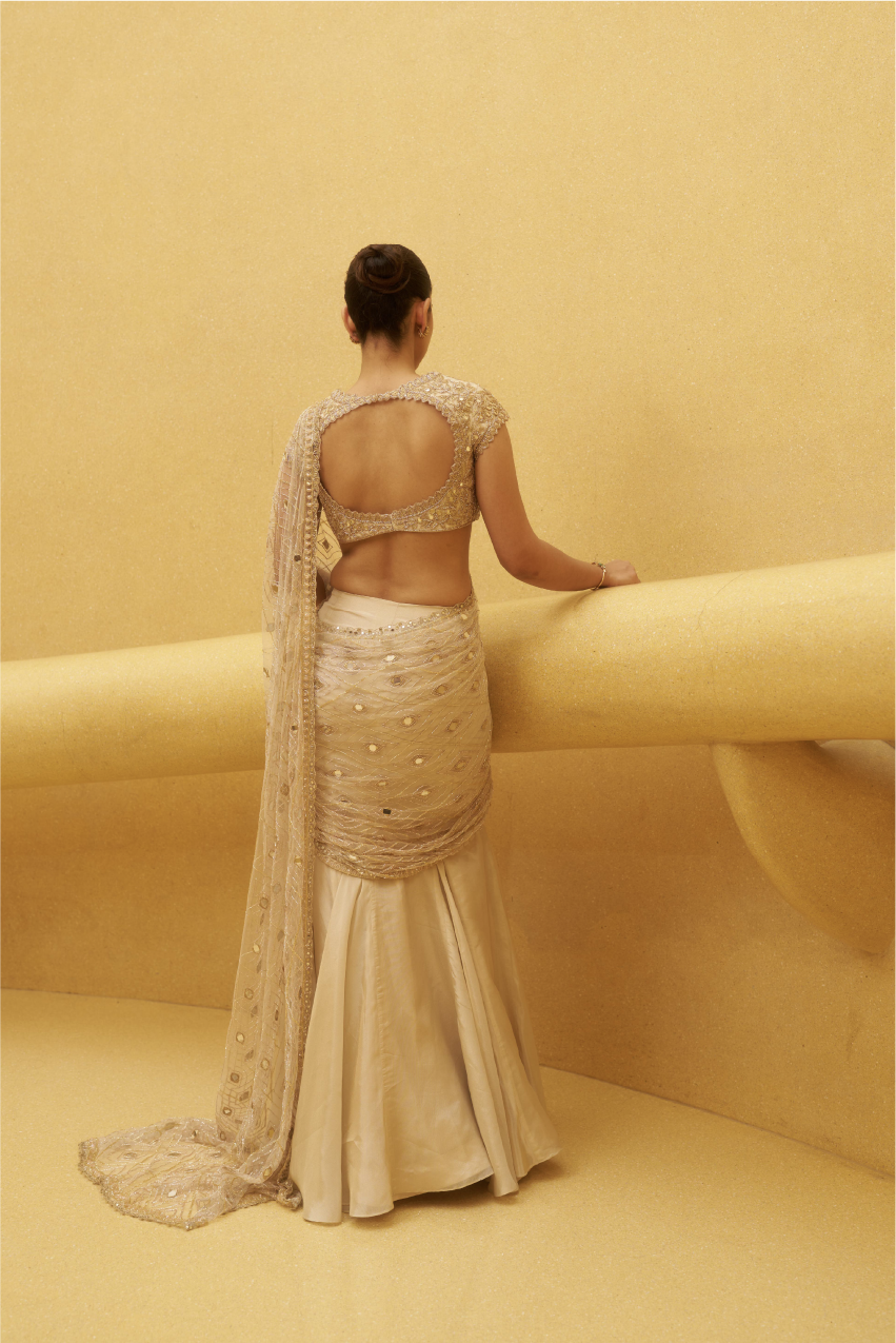 Gold Tissue Hand Embroidered Sari Set