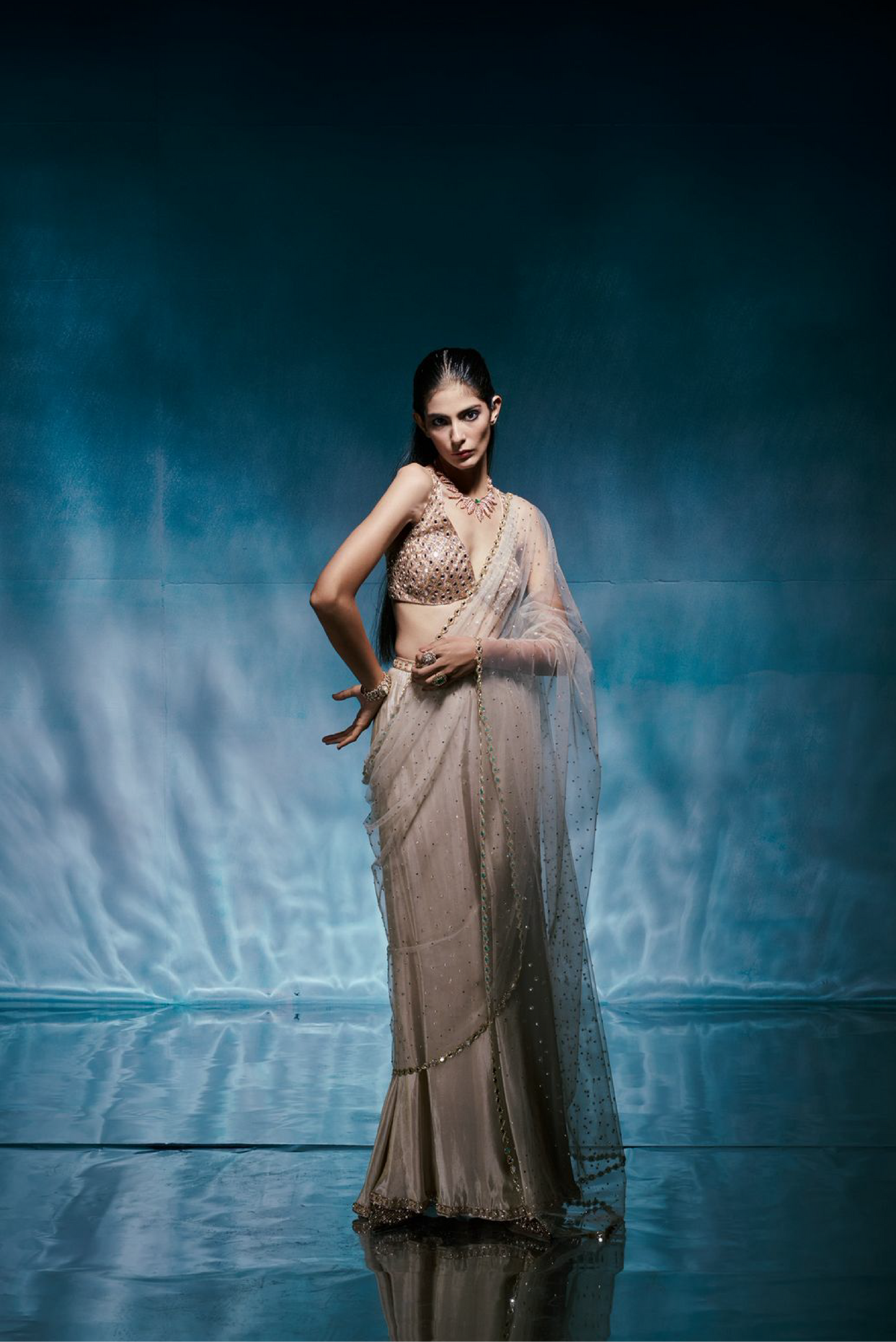Champagne Tissue Crystal Sari Set