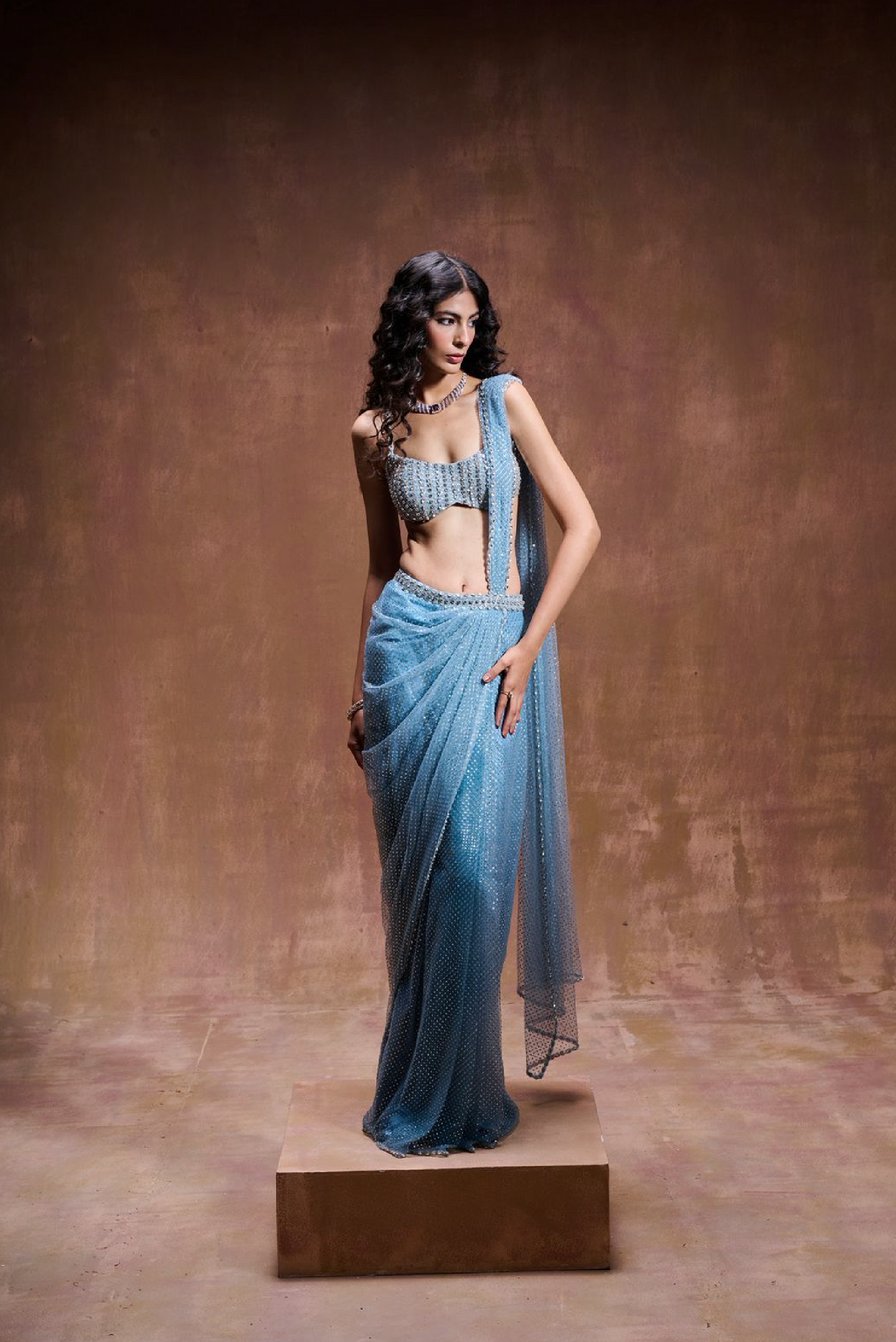 Light Blue Crystal Drape Sari Set