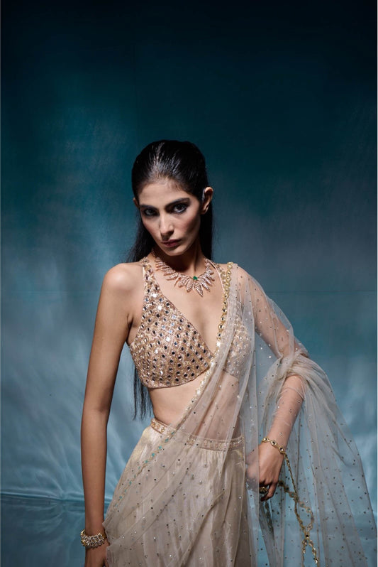 Champagne Tissue Crystal Sari Set