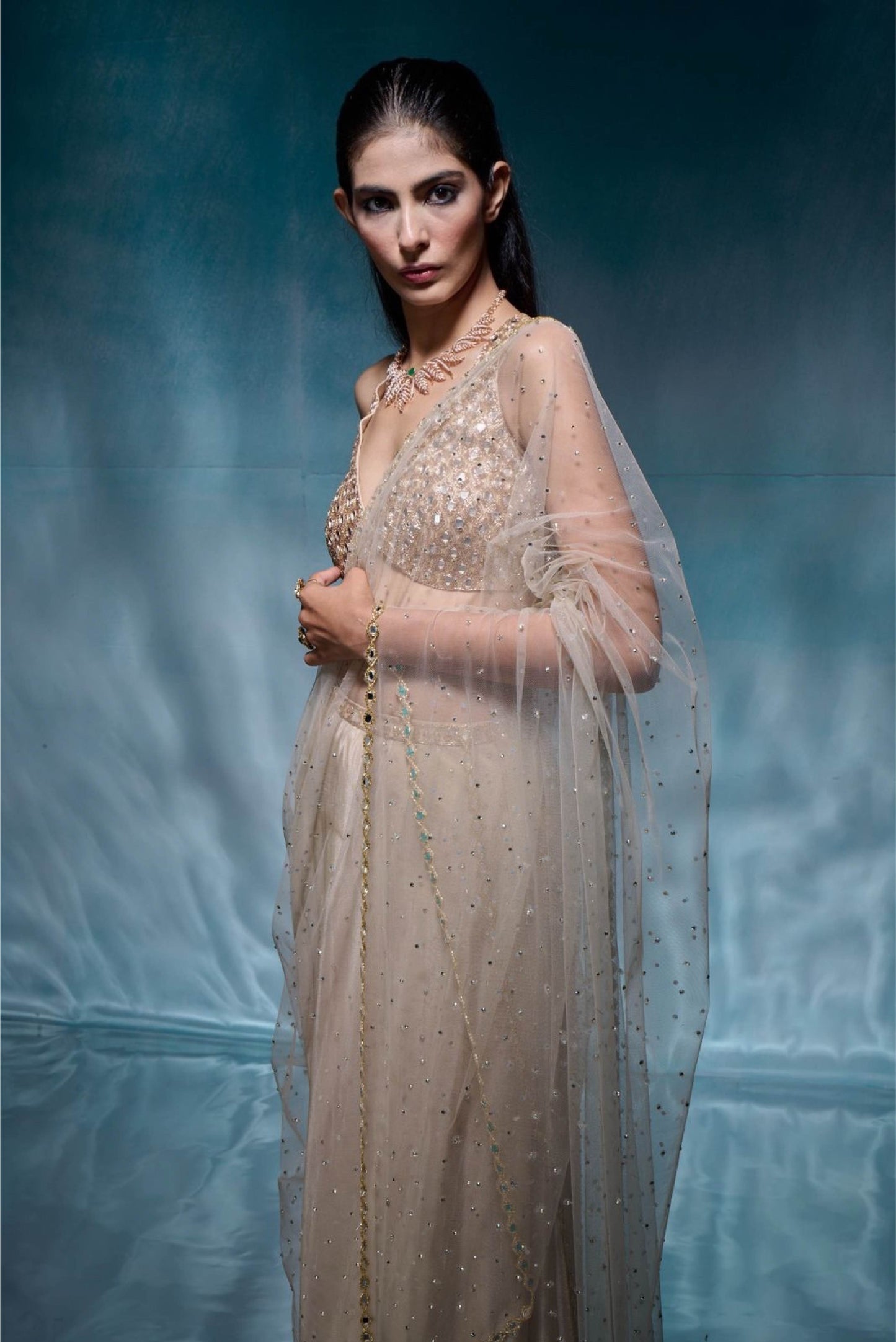Champagne Tissue Crystal Sari Set