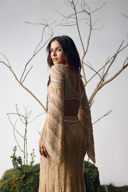 Champagne Stone Embellished Lehenga Set