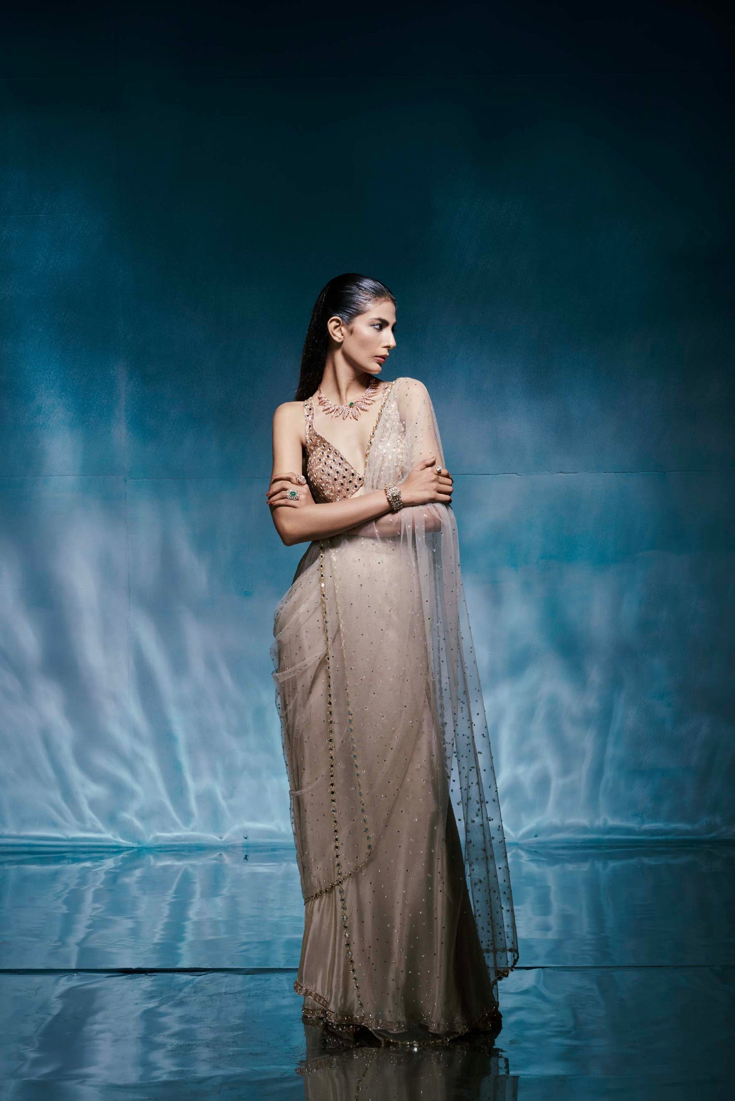 Champagne Tissue Crystal Sari Set