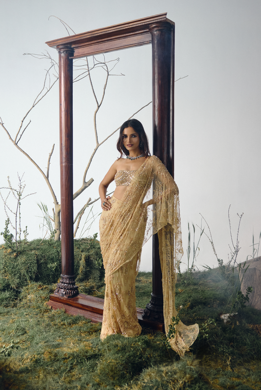 Gold Stone Embellished Lace Sari Set