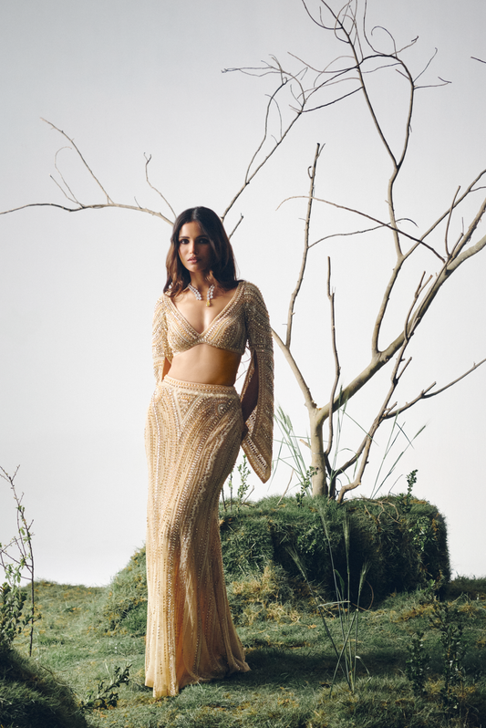Champagne Stone Embellished Lehenga Set