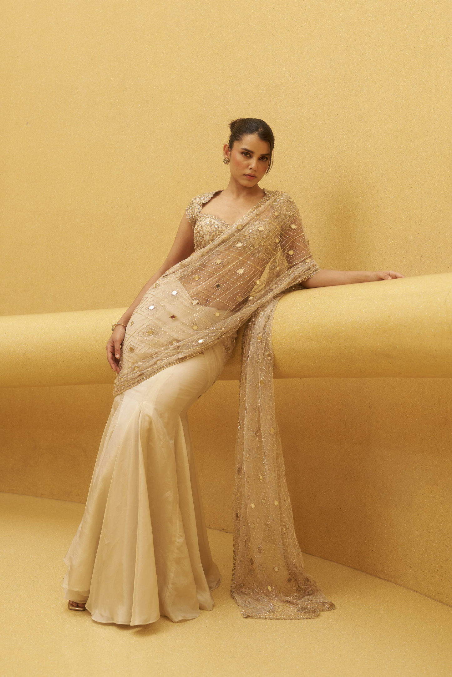 Gold Tissue Hand Embroidered Sari Set